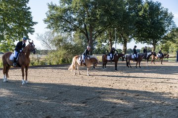 Bild 113 - Pony Akademie Turnier